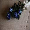 images/portfolio/fotografia/albumPAROLE_E_GESTI_08_09_22/PAROLE E GESTI_2022_09_08_250_low.jpg